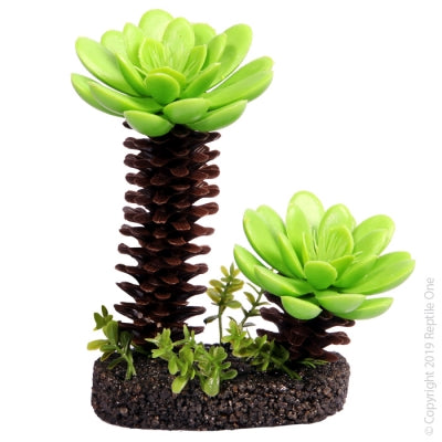 Reptile One - Succulent Tree W/ Sand Base Medium