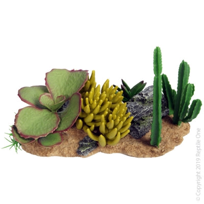 Reptile One - Succulent Garden W/ Resin Base