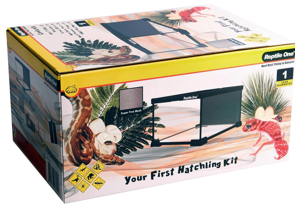 Reptile One - Your First Hatchling Kit