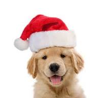 Christmas Treat Bag - Pets Wonderland