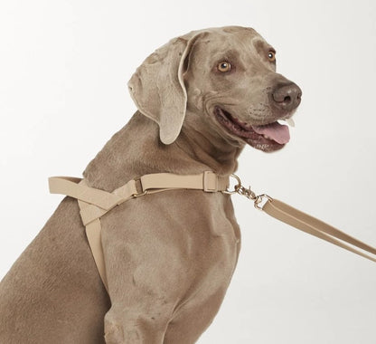 The Beach Pets - Waterproof No-Pull Harness