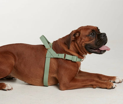 The Beach Pets - Waterproof No-Pull Harness