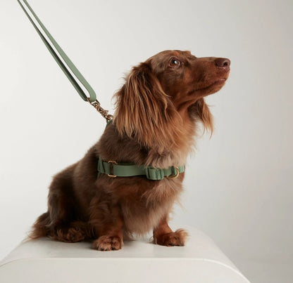 The Beach Pets - Waterproof No-Pull Harness