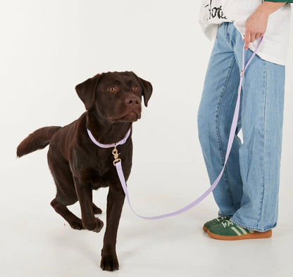 The Beach Pets - Waterproof Dog Leash