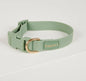 The Beach Pets - Waterproof Dog Collar