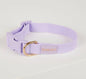 The Beach Pets - Waterproof Dog Collar
