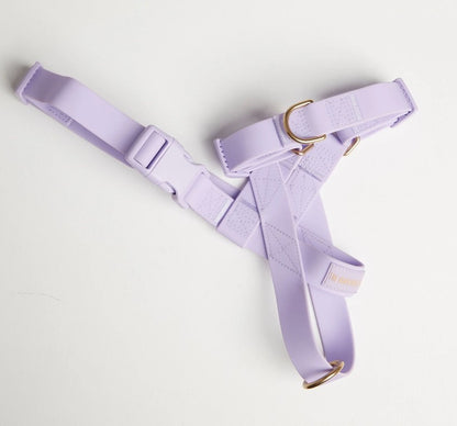 The Beach Pets - Waterproof No-Pull Harness