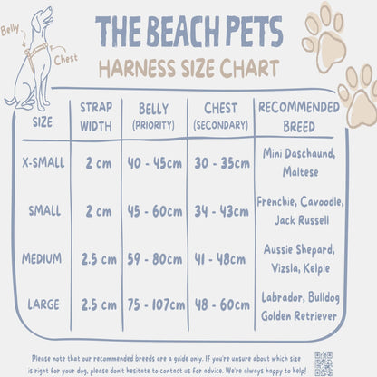 The Beach Pets - Waterproof Dog Leash