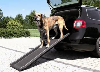 Trixie - Petwalk Plastic Ramp Black - Pets Wonderland