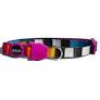 Zee Cat - Cat Collar - Pets Wonderland