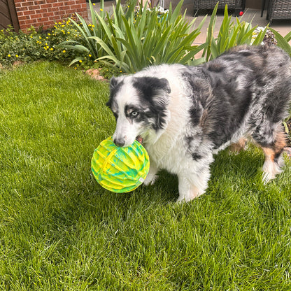 Kong - Flexball Sport XL