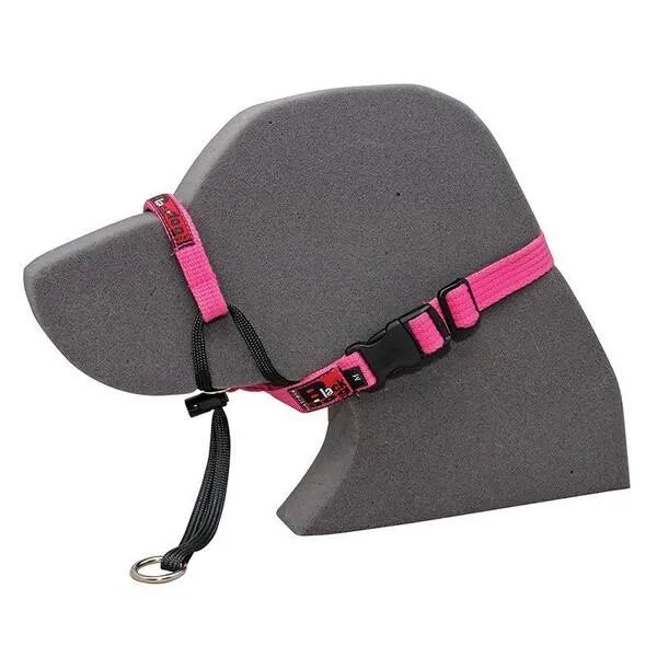 Blackdog - Training Halter