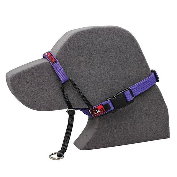 Blackdog - Training Halter