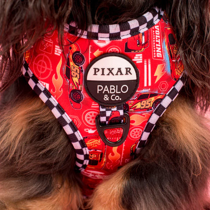 Pablo & Co - Harness "Cars" - Pets Wonderland