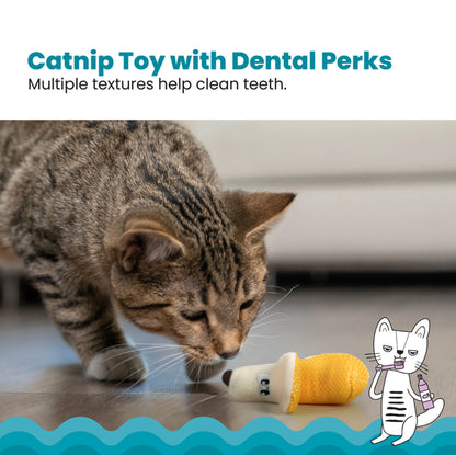 Catstages - Dental Banana