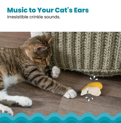 Catstages - Dental Banana