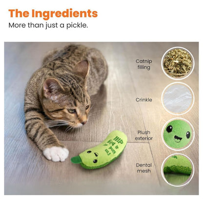 Catstages - Crunchy Pickle Kicker