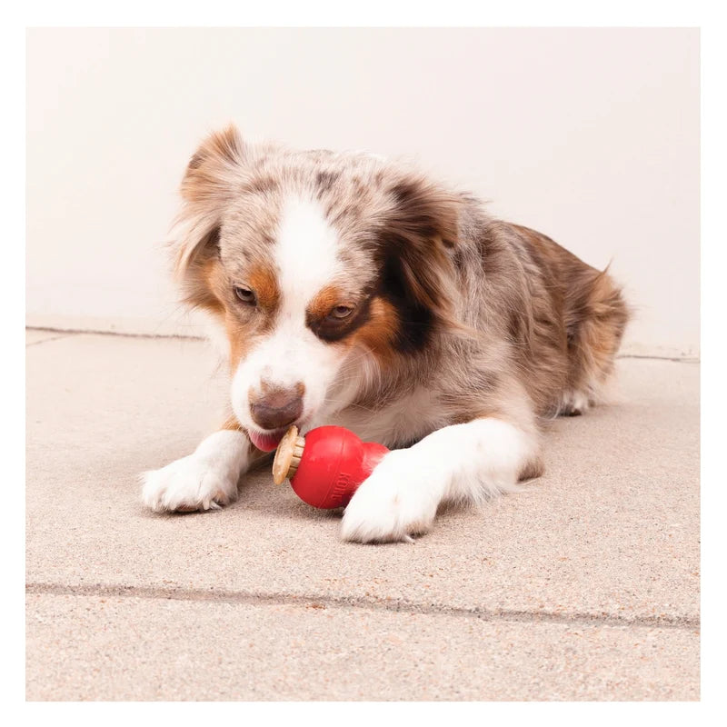 Kong - Corkz Treat 10PK