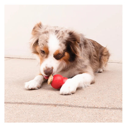 Kong - Corkz Treat 10PK