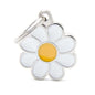 My Family - Daisy Tag - Pets Wonderland