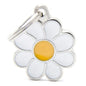 My Family - Daisy Tag - Pets Wonderland
