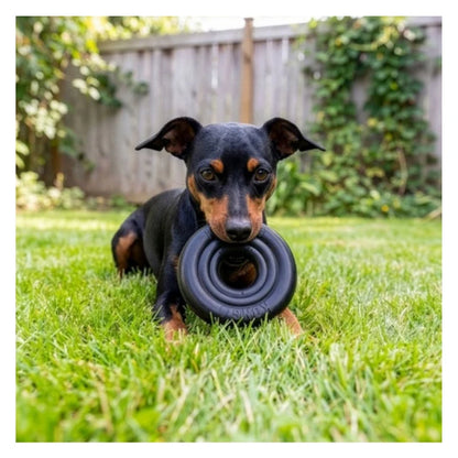 KONG - Extreme Donut Medium/Large