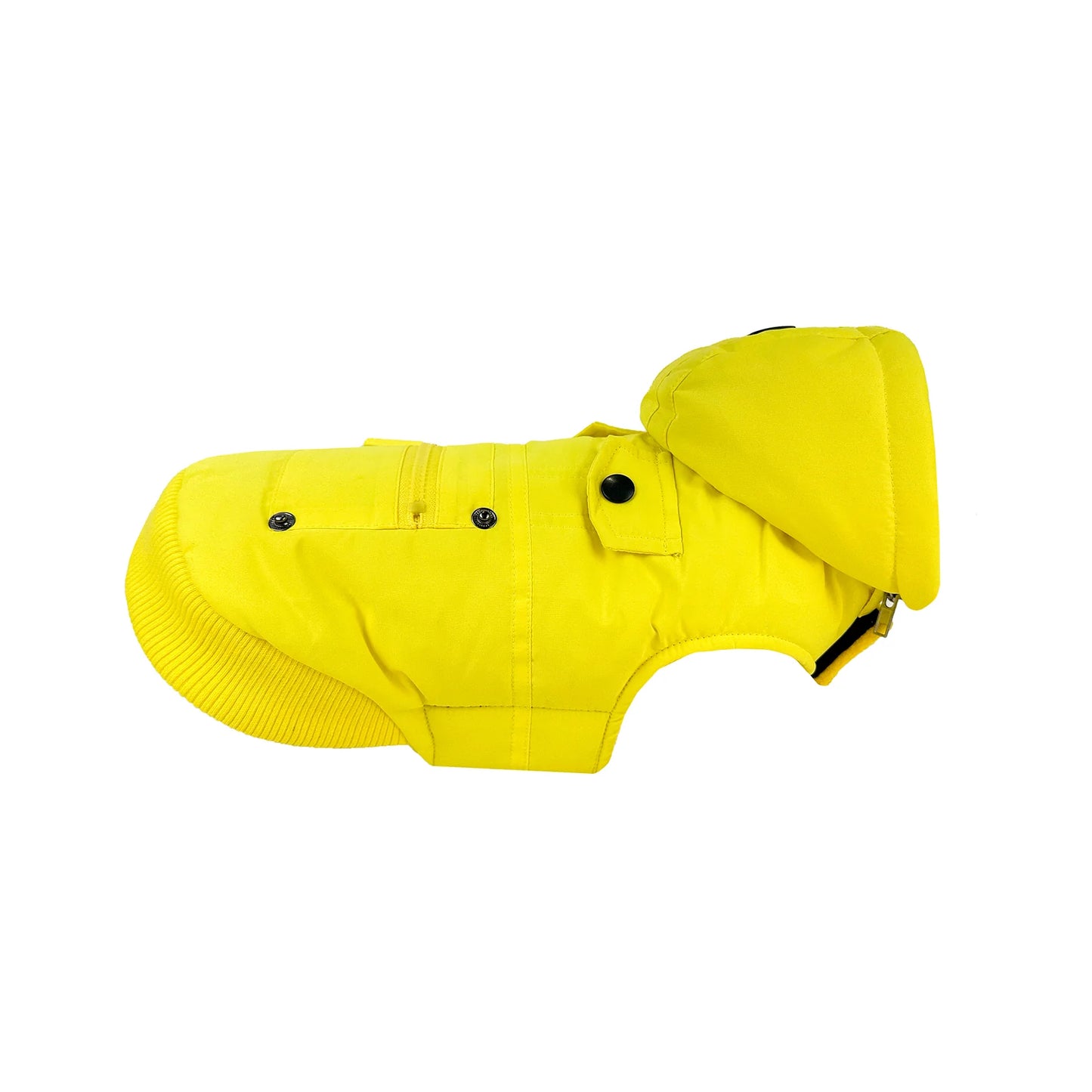 Huskimo - MT Buller Dog Coat Yellow