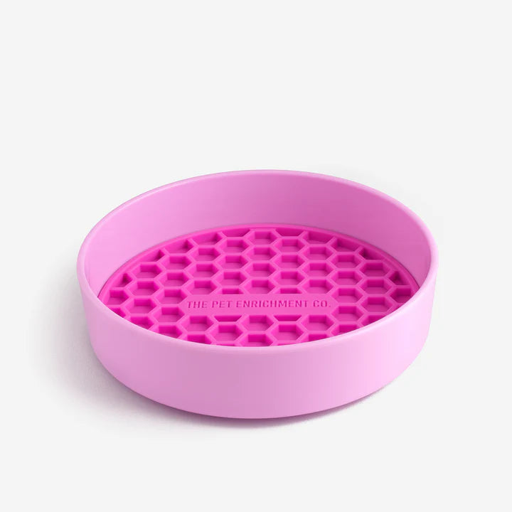 Pet Enrichment Co. - Bowl - Pets Wonderland