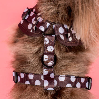 Pablo & Co - Harness "Polka Dots" - Pets Wonderland