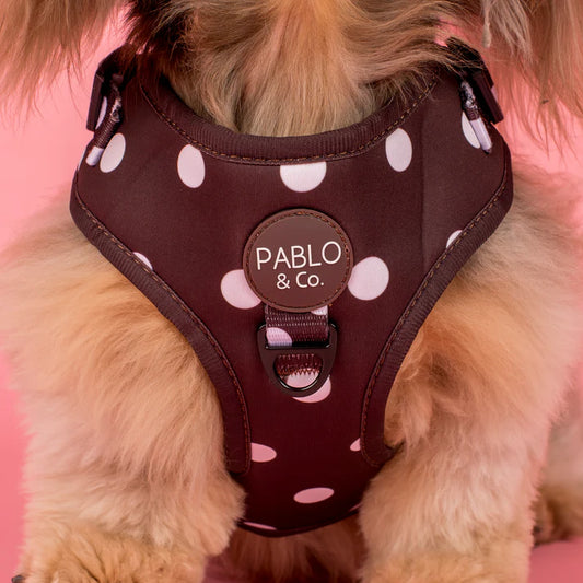 Pablo & Co - Harness "Polka Dots" - Pets Wonderland