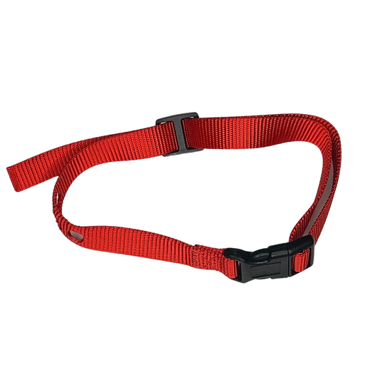 PetSafe - Red Nylon Strap - Pets Wonderland